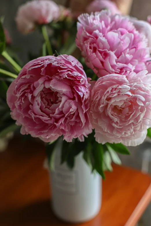 three pink flowers sit in a white vase