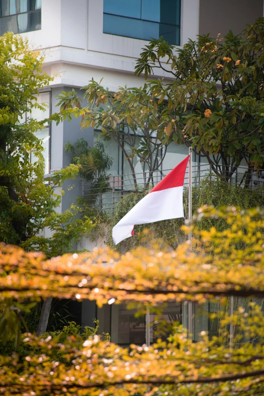 a flag with red and white colors blowing in the wind in front of trees