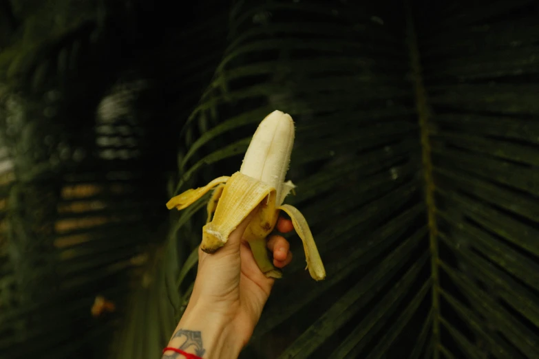 someone holding a large banana in their hand