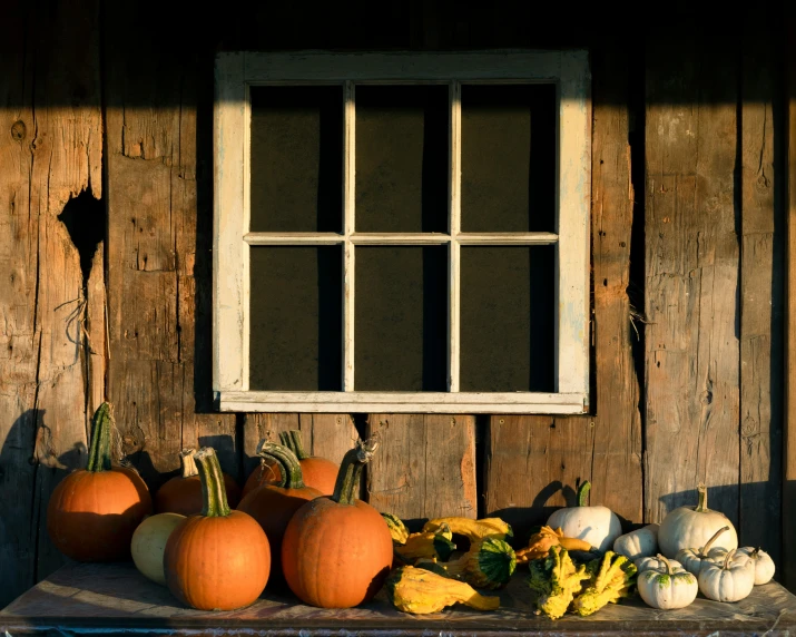a bunch of pumpkins sitting in front of a window
