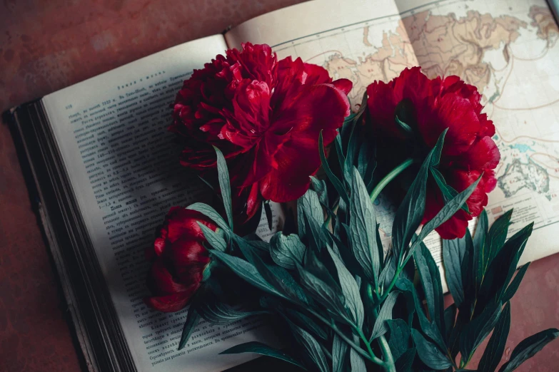 a vase with flowers and leaves sitting on top of an open book