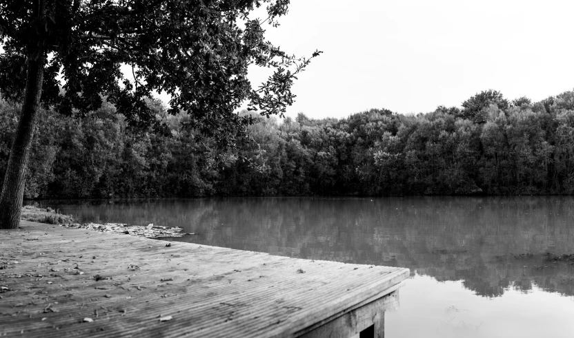 a body of water sitting between trees and a wooden dock