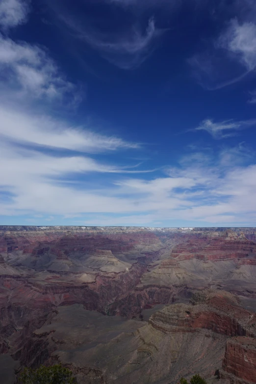 a view of some very large canyons and trees