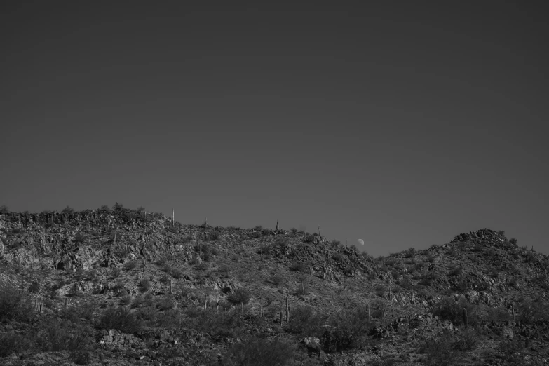 the hills have trees on them and a few bushes at the top