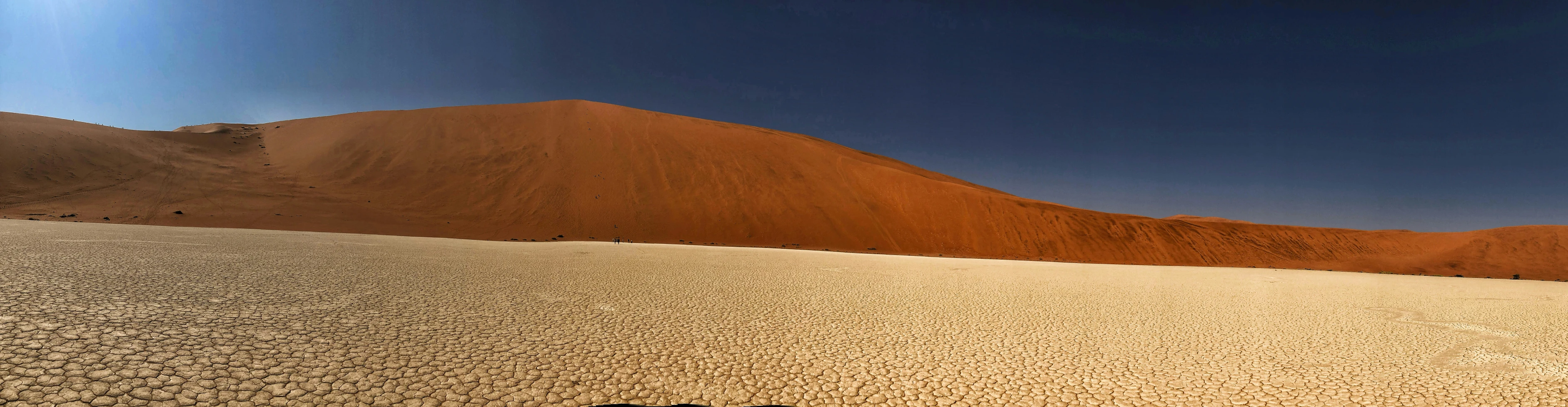 a lone dog is in the sand with a mountain background