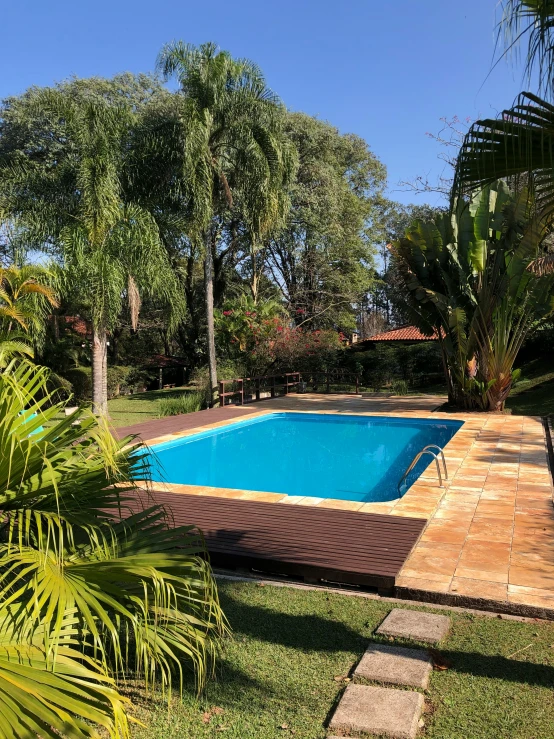 a pool surrounded by greenery is shown in a backyard