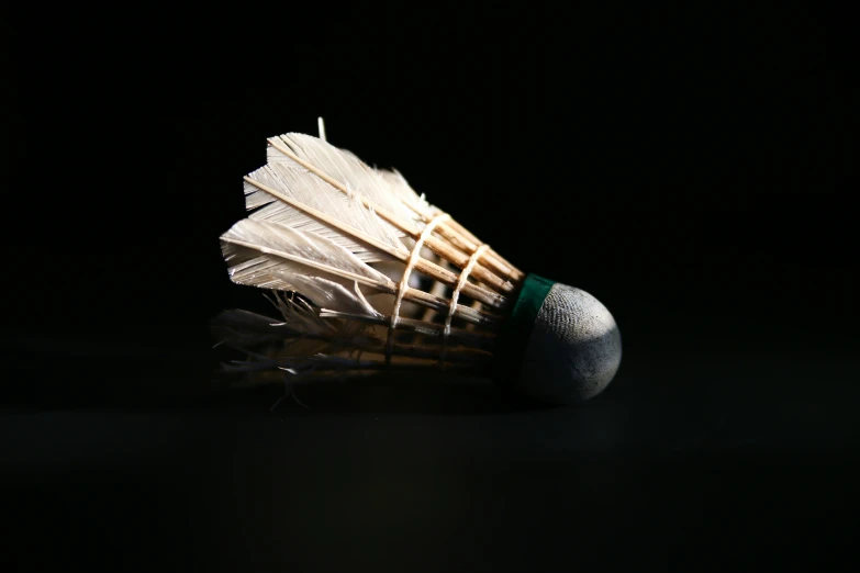 three feathered objects on the floor and one in the dark