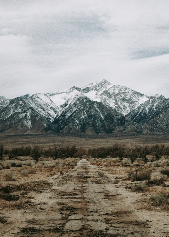 a horse standing in a field next to a mountain