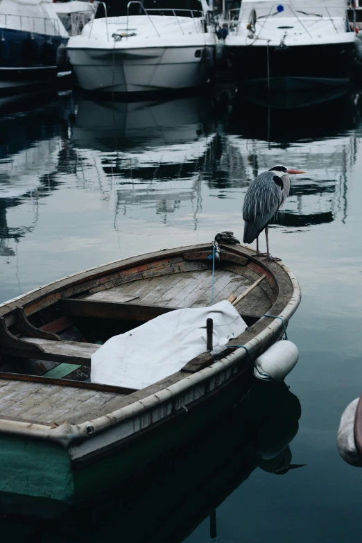 a boat with some birds on top and other boats in the water