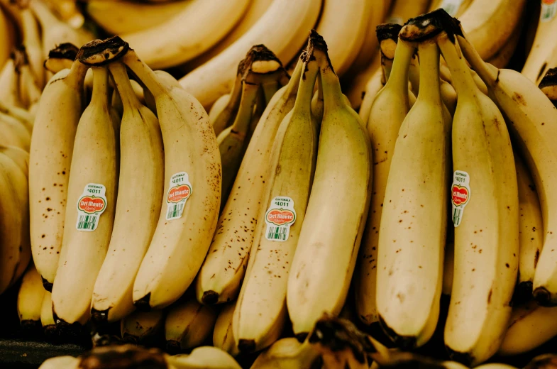 several bunches of ripe bananas are stacked in a store