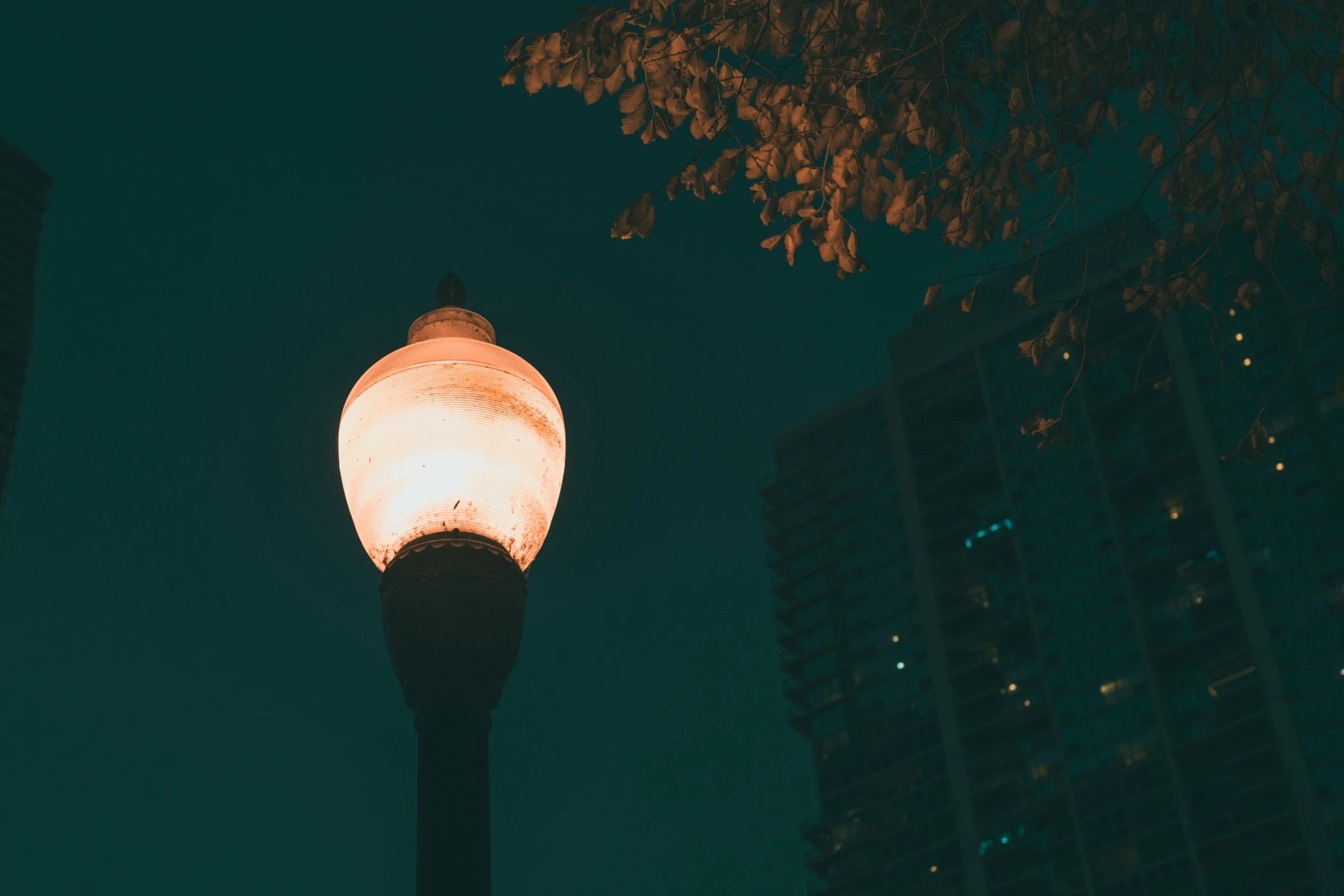 the street light on the post is shining down