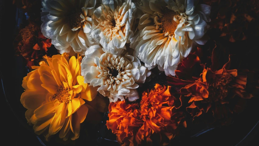 a close up image of flowers in water