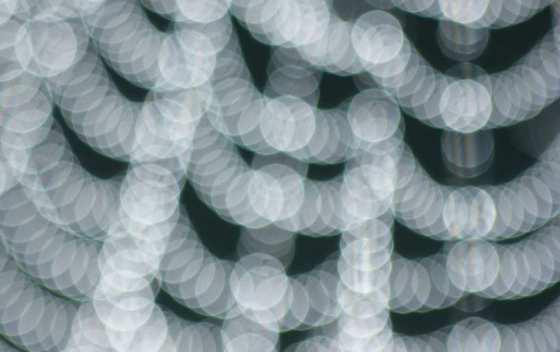 a large group of white circular objects on top of a table