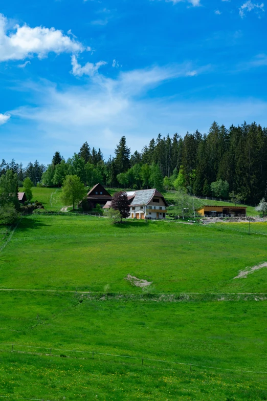 a grassy field with several houses and trees on the hillside