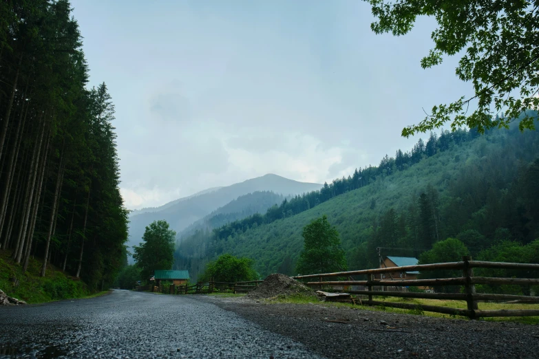 a road and a fence next to some trees