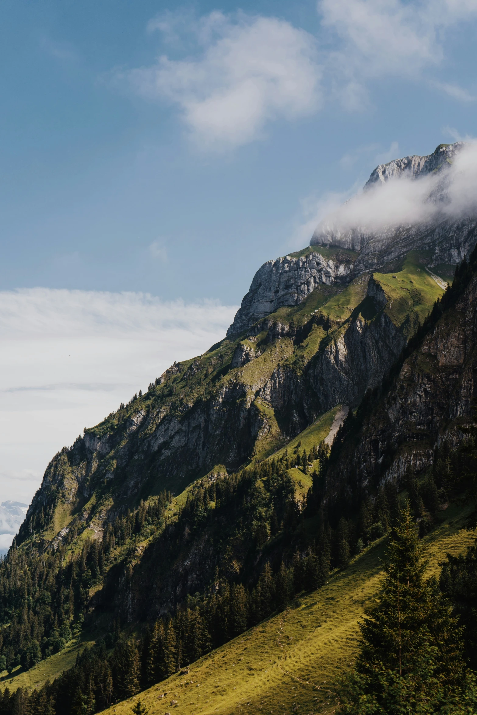 a hillside covered in green grass and tall mountains