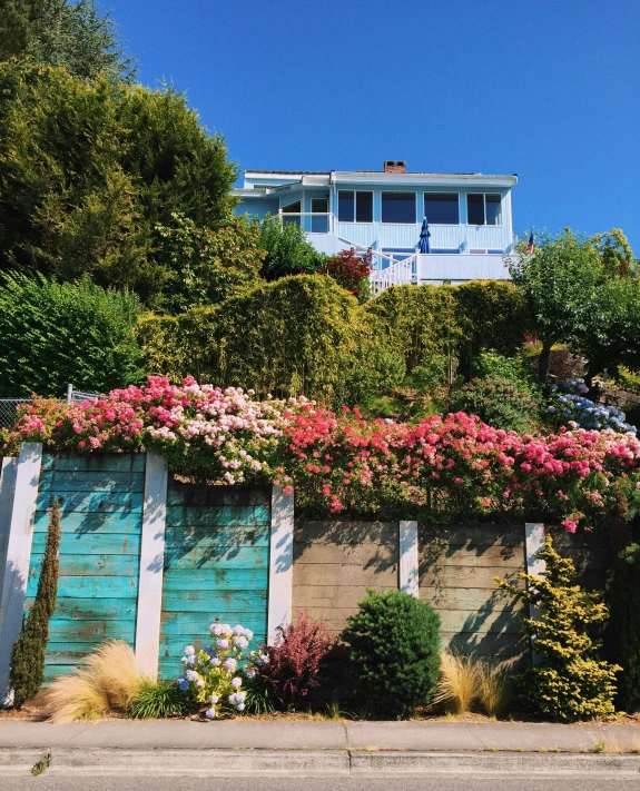 this is a house with an abundance of flowers