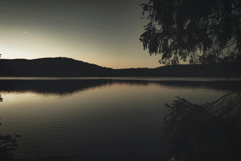 the reflection of trees in the water is very dark