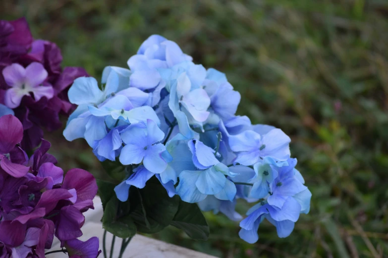 three vases filled with blue and purple flowers