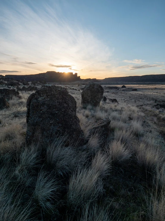 the sun setting over a field with bushes and rocks