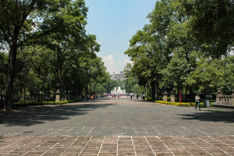 a street with trees on both sides of the road