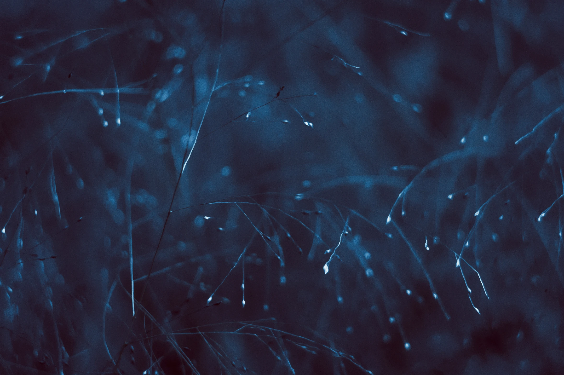 a blue abstract background with little stars