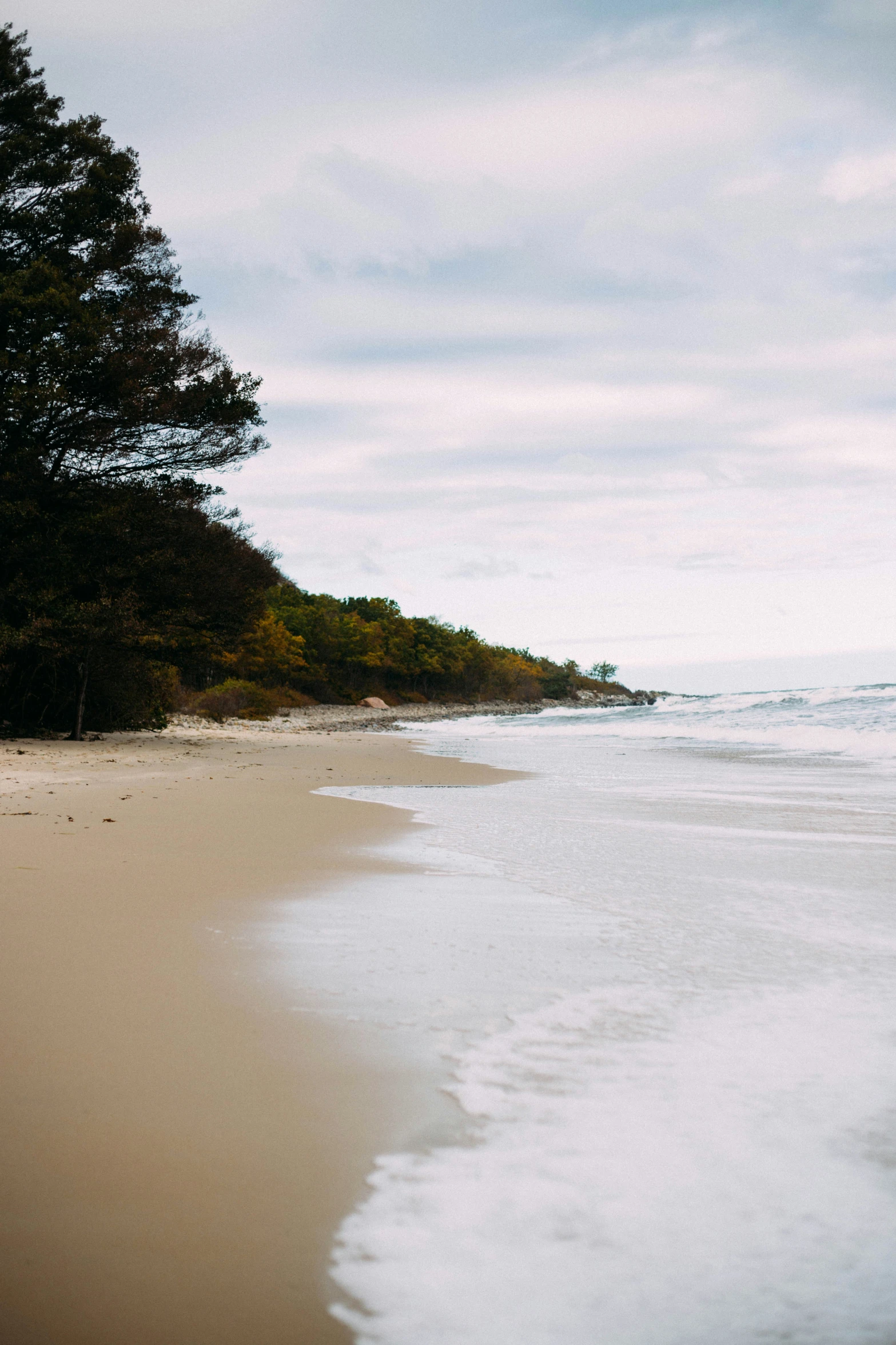 a po of some water by the sand and trees