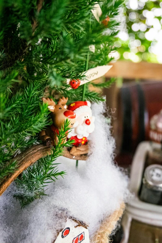 a small tree in the corner near a teddy bear