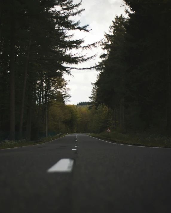 a street that is in front of trees