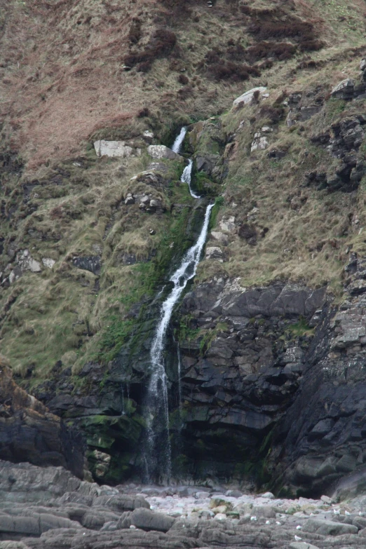 an animal is near a small waterfall in the mountains