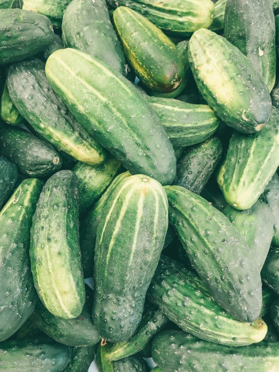 green cucumbers are piled together for sale