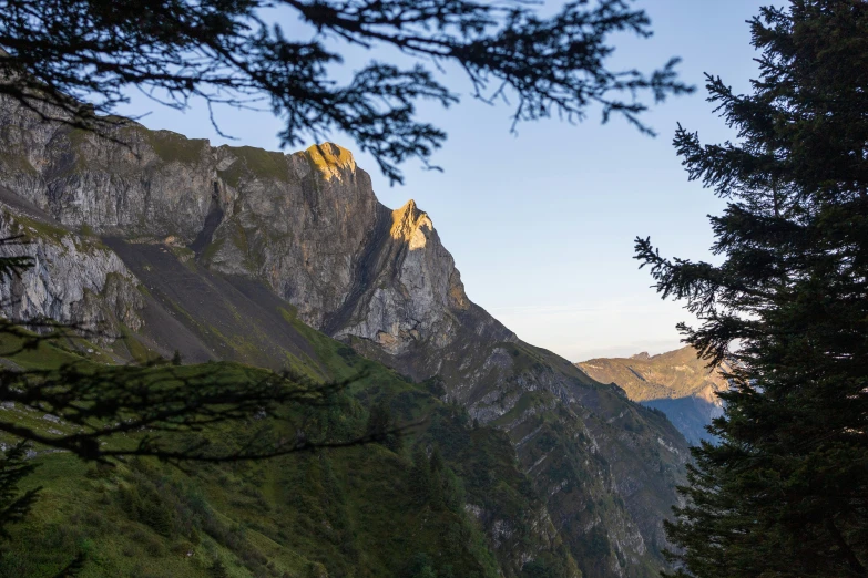 the mountain range is near to a forest