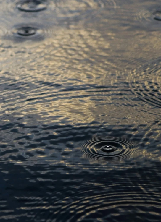 a single drop that is sitting on the ground