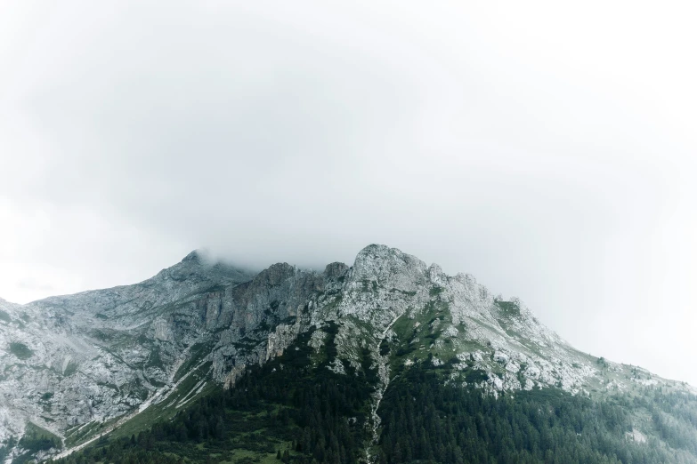 a view of a snow covered mountain with green trees