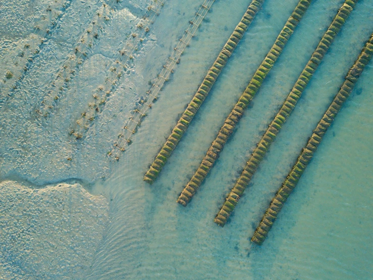 rows of docks sit in the water off the shore