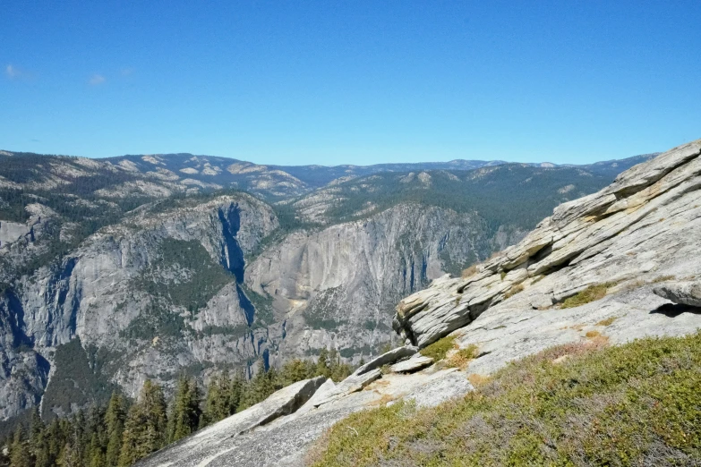 a lone mountain goat stands on a steep ridge above some pine trees