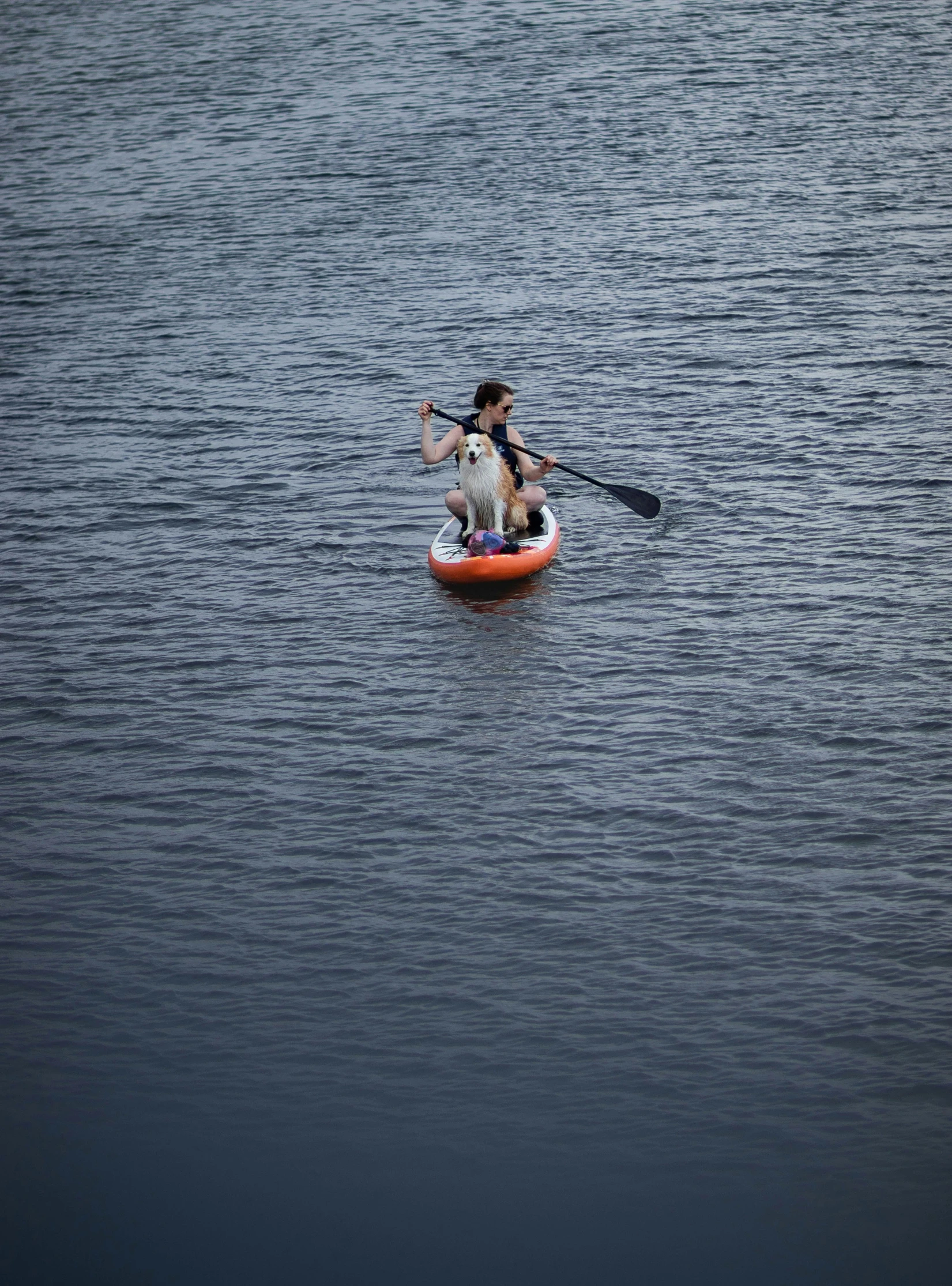 a man is canoeing with his dog in the water