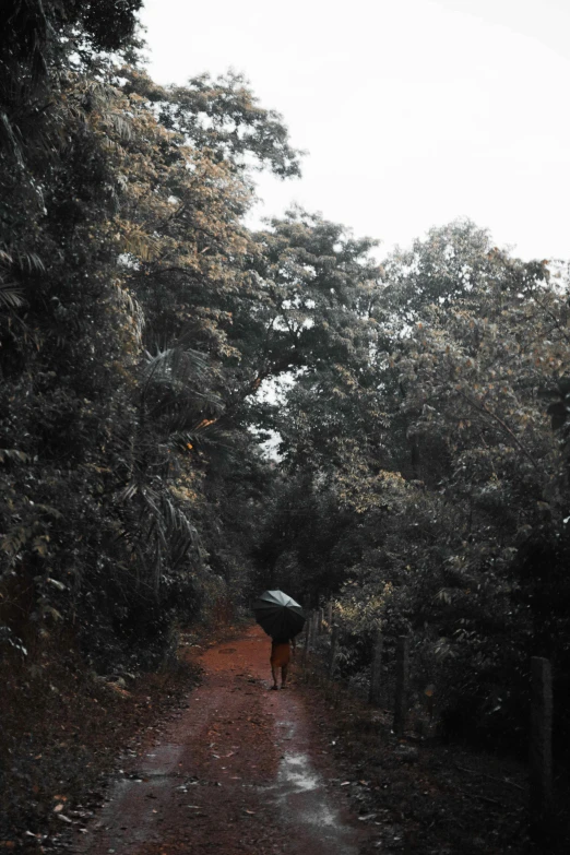 a person standing on a path carrying an umbrella