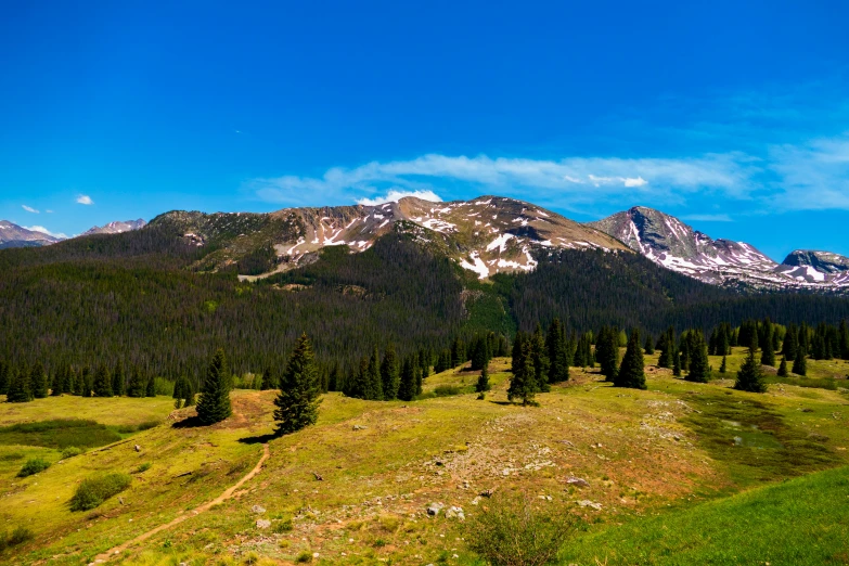 a green field on top of a mountain covered in snow