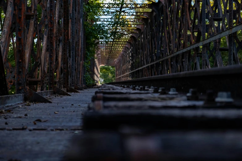 a long row of trees in front of a long bridge