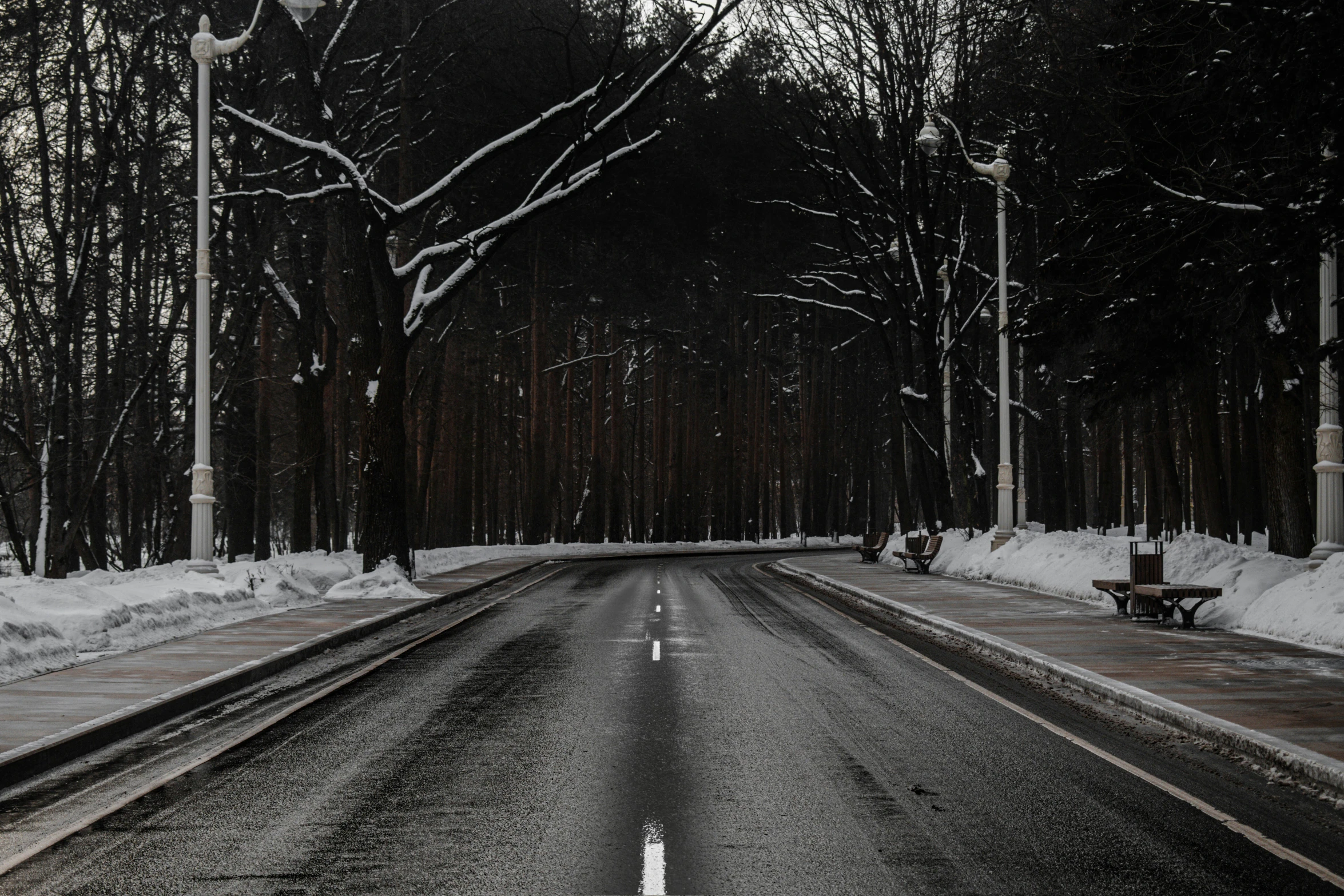 a quiet country road in the winter with snowy trees on either side