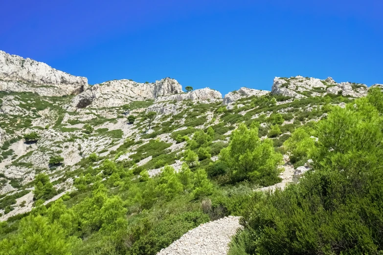 a view of a mountain range with lots of trees on the hillside