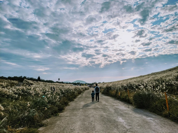 two people walking along a path in a field