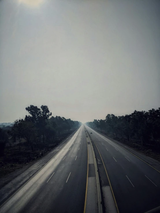 the road has no cars on it, except there are many trees