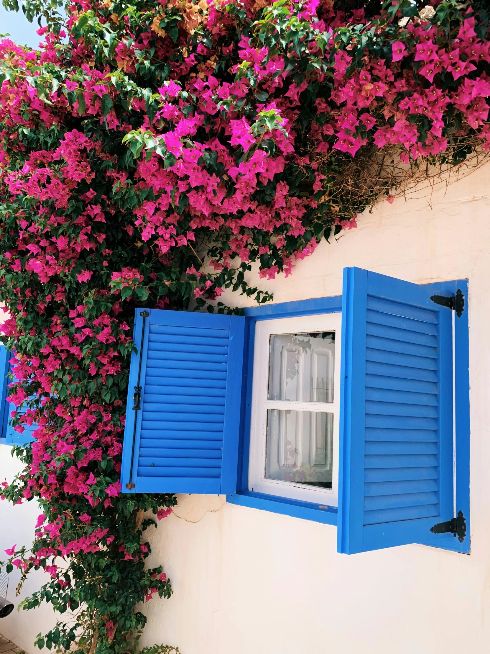 a building that has blue shutters and red flowers on it