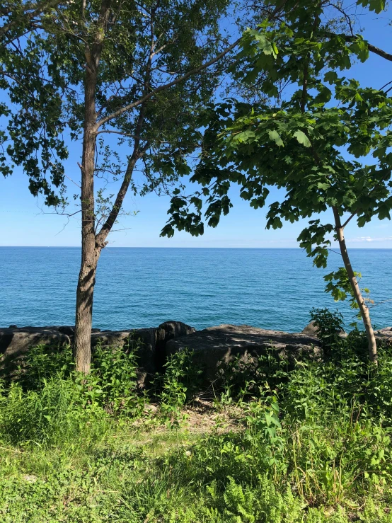 the view of a lake through some trees