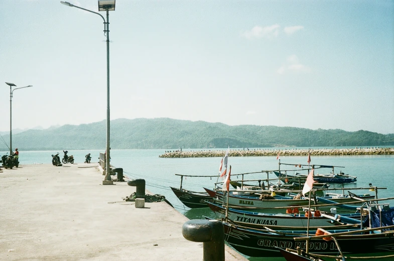 several boats tied to a pole near the shore