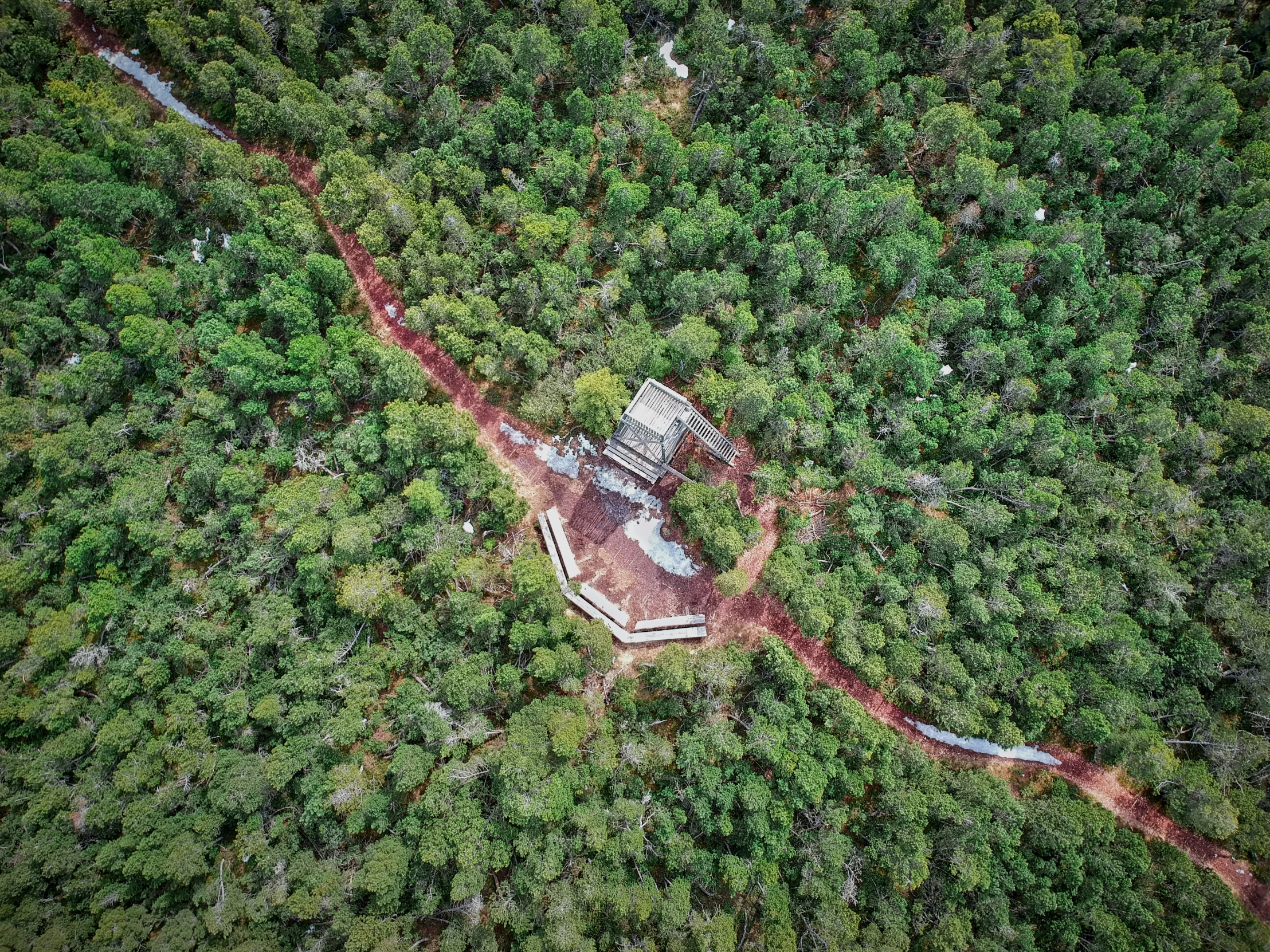 an aerial view of the woods shows trees and a house