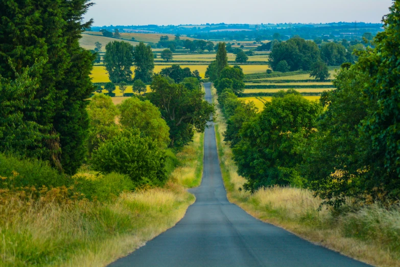 an empty street and trees is seen in this pograph