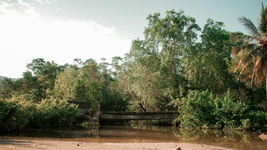 a dirt area near trees and water